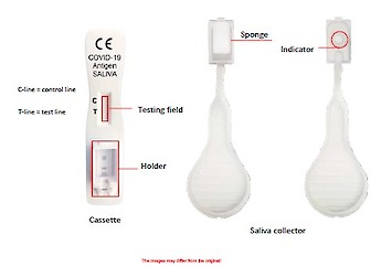 Covid-19 新冠病毒抗原口水檢測